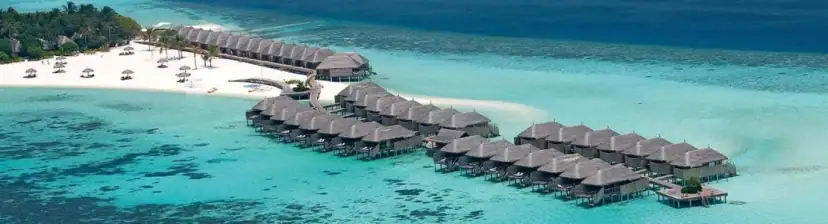 Constance Moofushi - Featured Image