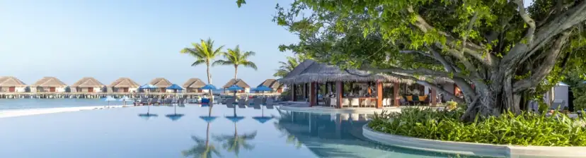 Dusit Thani Maldives - Featured Image