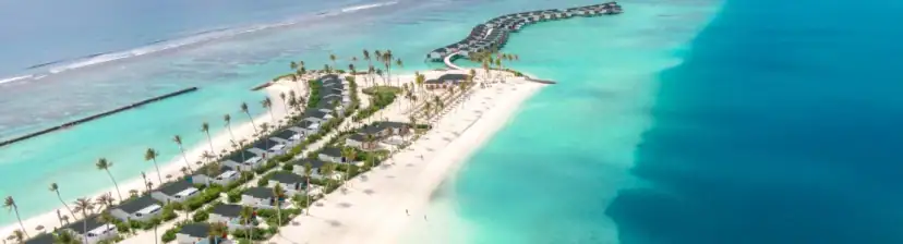 Joy Island - Featured Image